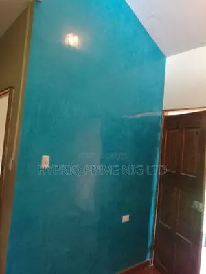 Professional Stucco Paint Applicators in Ibadan