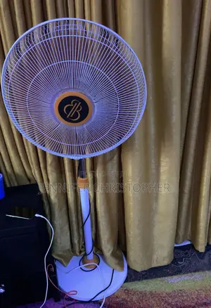 Bb Standing Fan 18inch