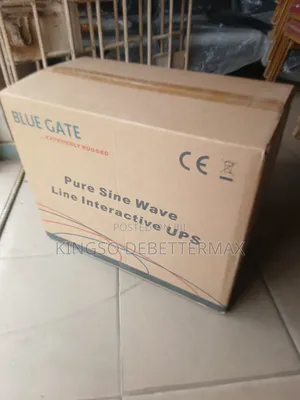 Blue Gate 4kva Ups