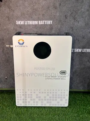 5kwh/48v Lithium Battery Lvtopsun