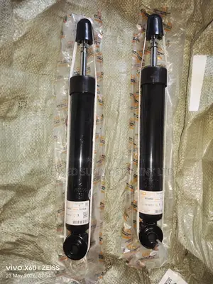Back Shock Nissan Xtrail 2024