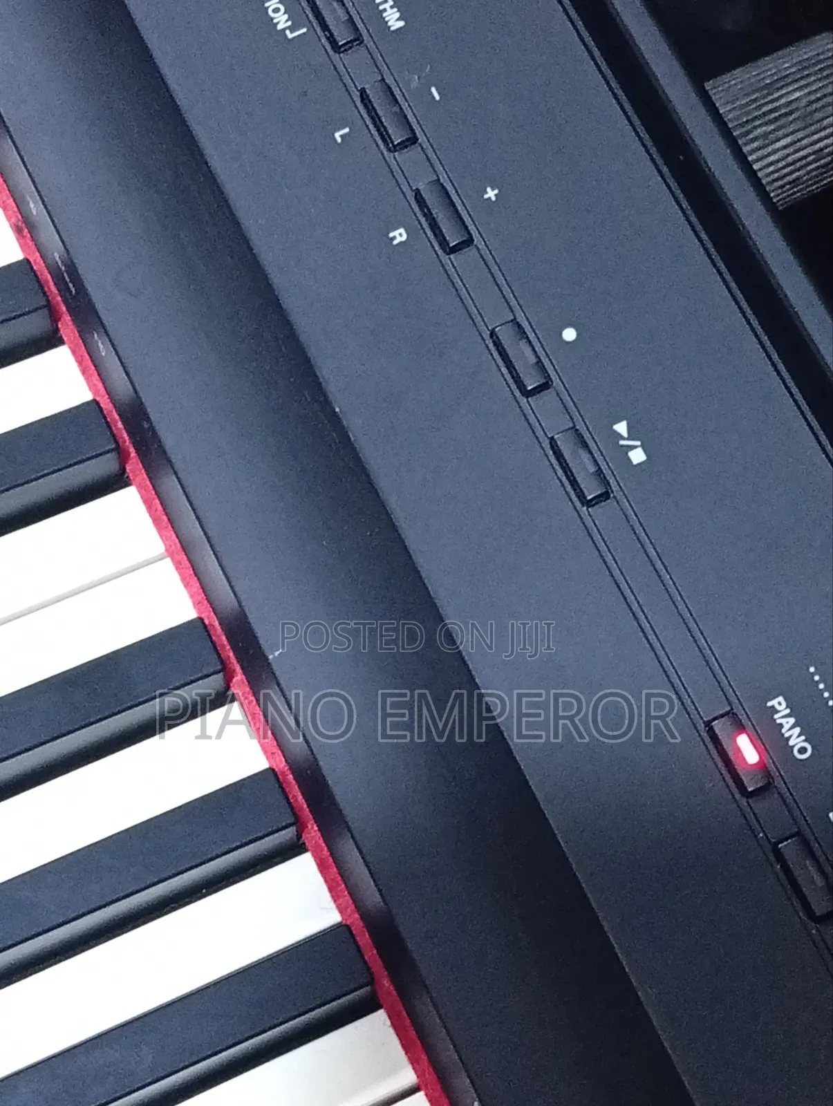 Yamaha P-125 – Every Note Feels Like Magic!