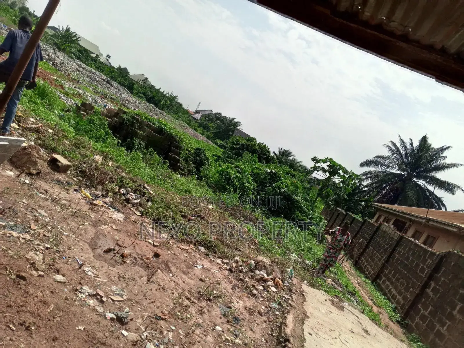 Suvy Plan Eko
