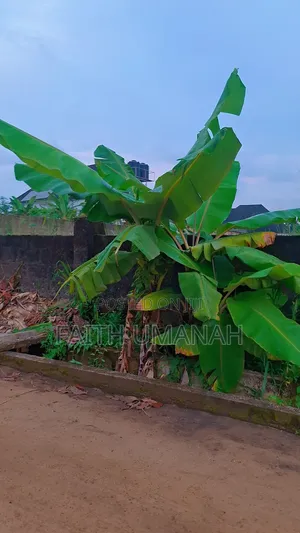 Government Residential Land