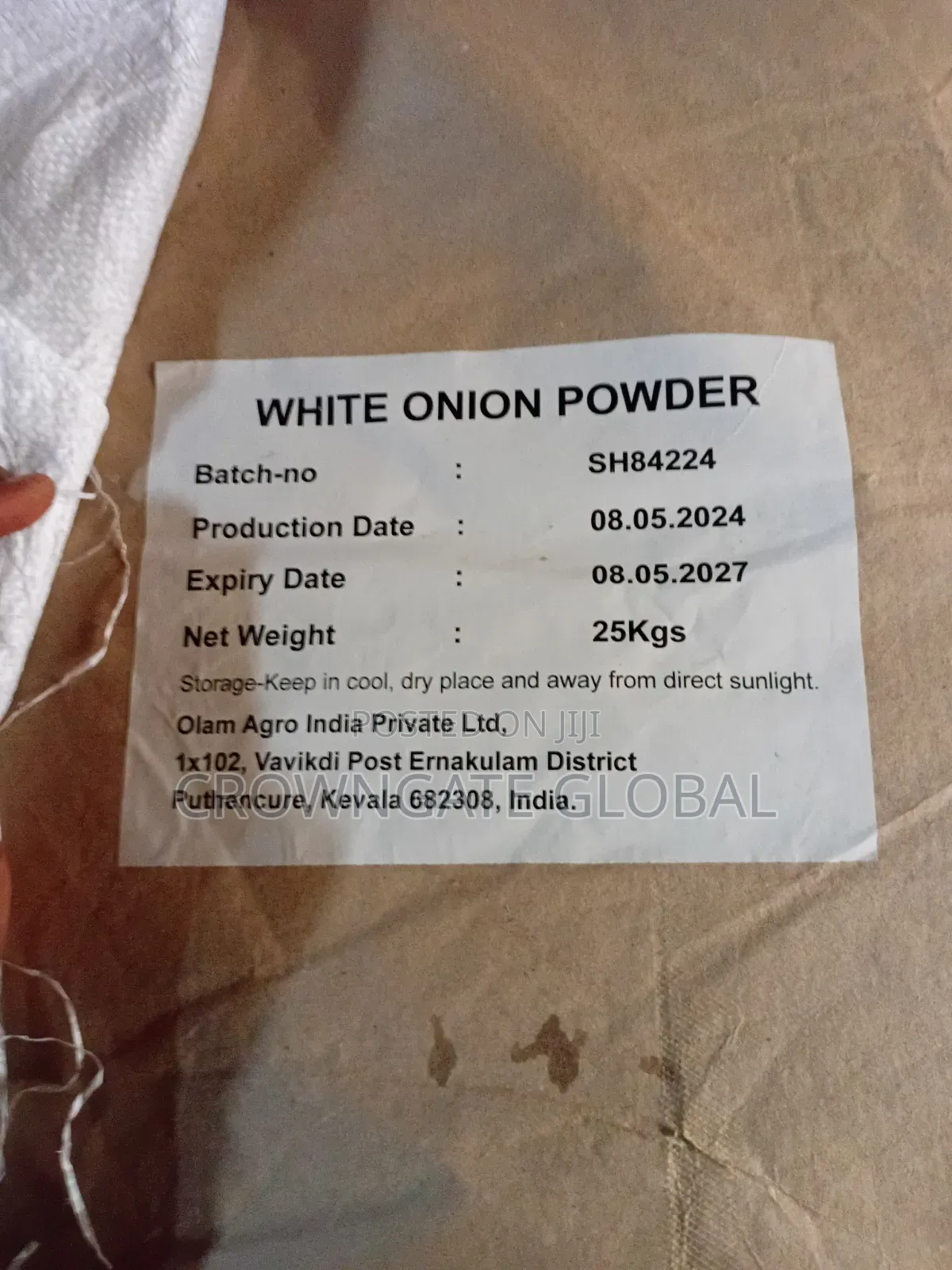 White Onion Powder