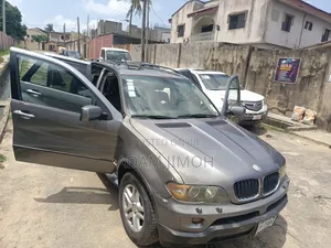 BMW X5 3.0 Sport Automatic 2007 Gray