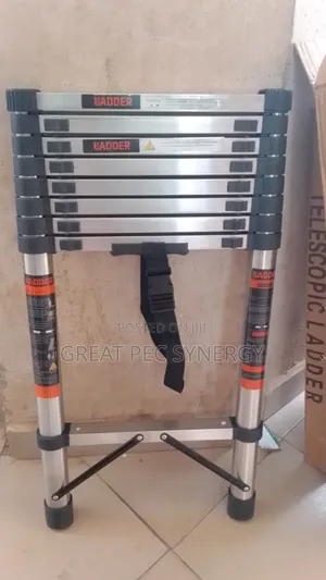 3.5 Telescopic Ladder