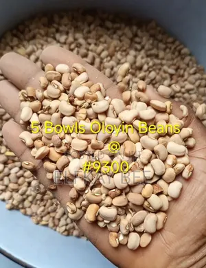 1kg Picked Oloyin Beans