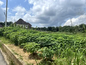 Hectare for Sale