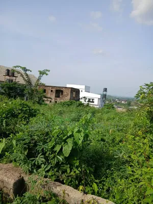 50ft X 100ft Land for Sale in Okpanam Asaba