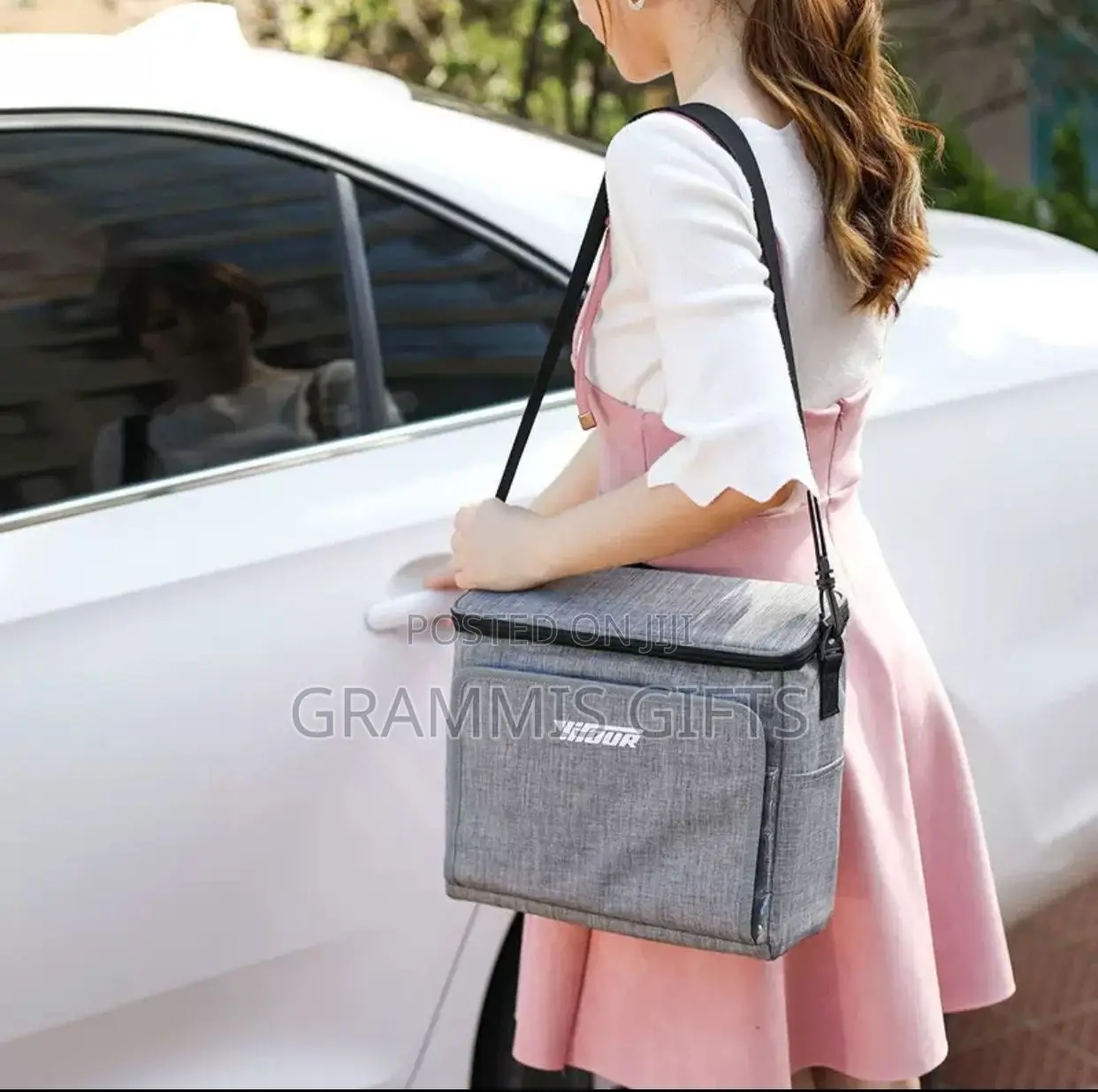 Portable Cooler Bag