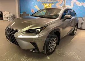 Lexus NX 2019 Brown