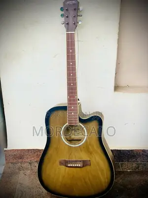 Electro Acoustic Guitar