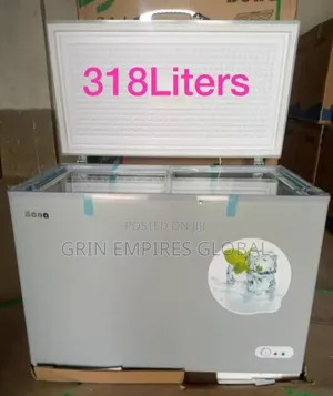Bona Inverter Freezer