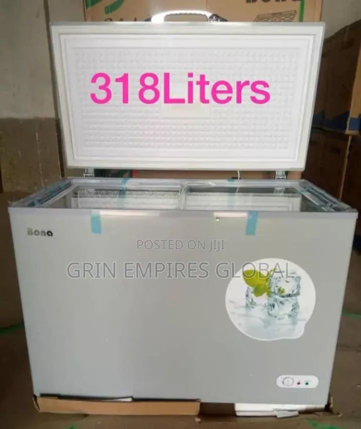 Bona Inverter Freezer