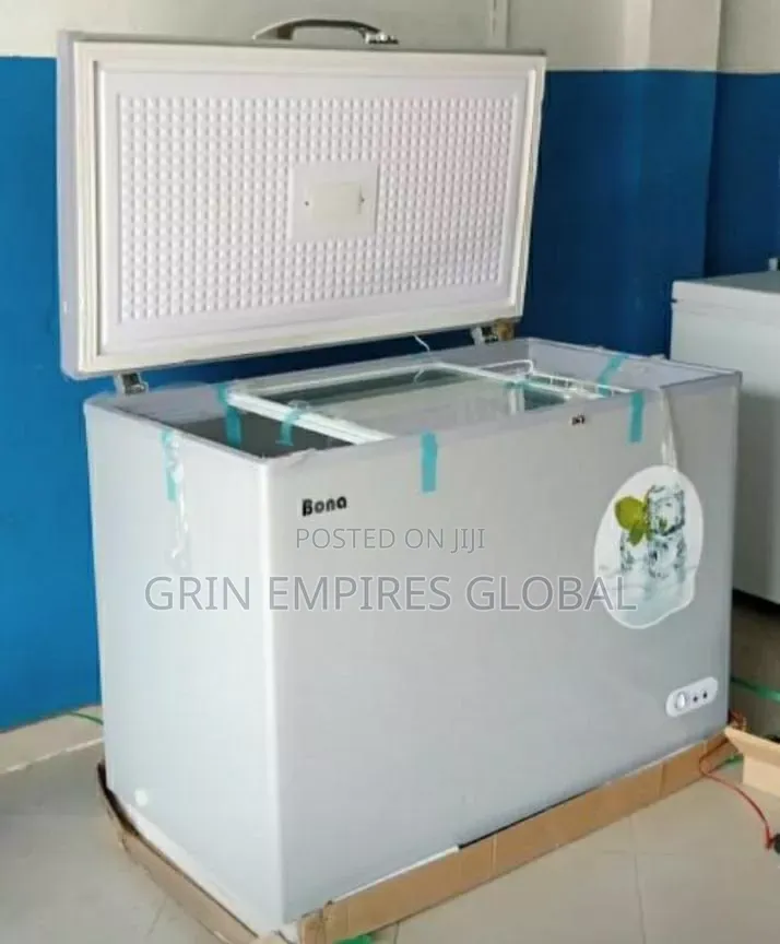 Bona Inverter Freezer