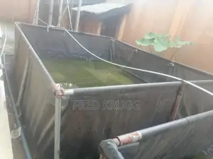 Tarpaulin Fish Pond