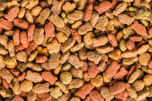 Dog Dry Food(Dog Chow)