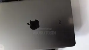 Apple iPad mini 5 256 GB Gray