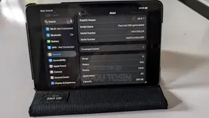 Apple iPad mini 5 256 GB Gray