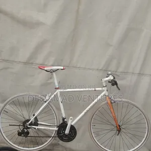 Road Master Sports Bicycle