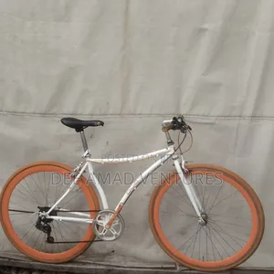 Foreign Used Sports Bicycle