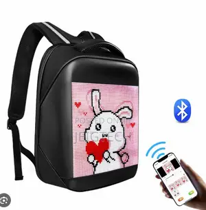 Lumi Bag- Large