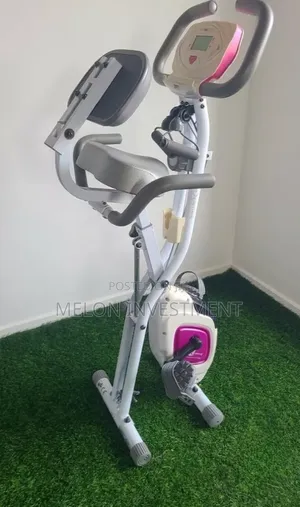 Folding Bike (X-Bike)