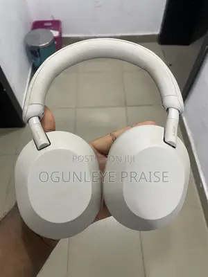 Sony Wh-1000xm5 Wireless Noise Canceling Headphones - Silver