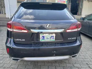 Lexus RX 2010 Gray