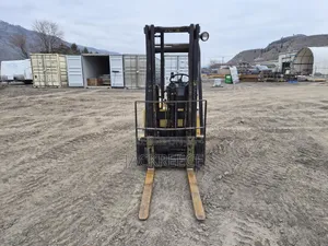Strong. Reliable. Ready To Work. This Shangli Forklift Is Built