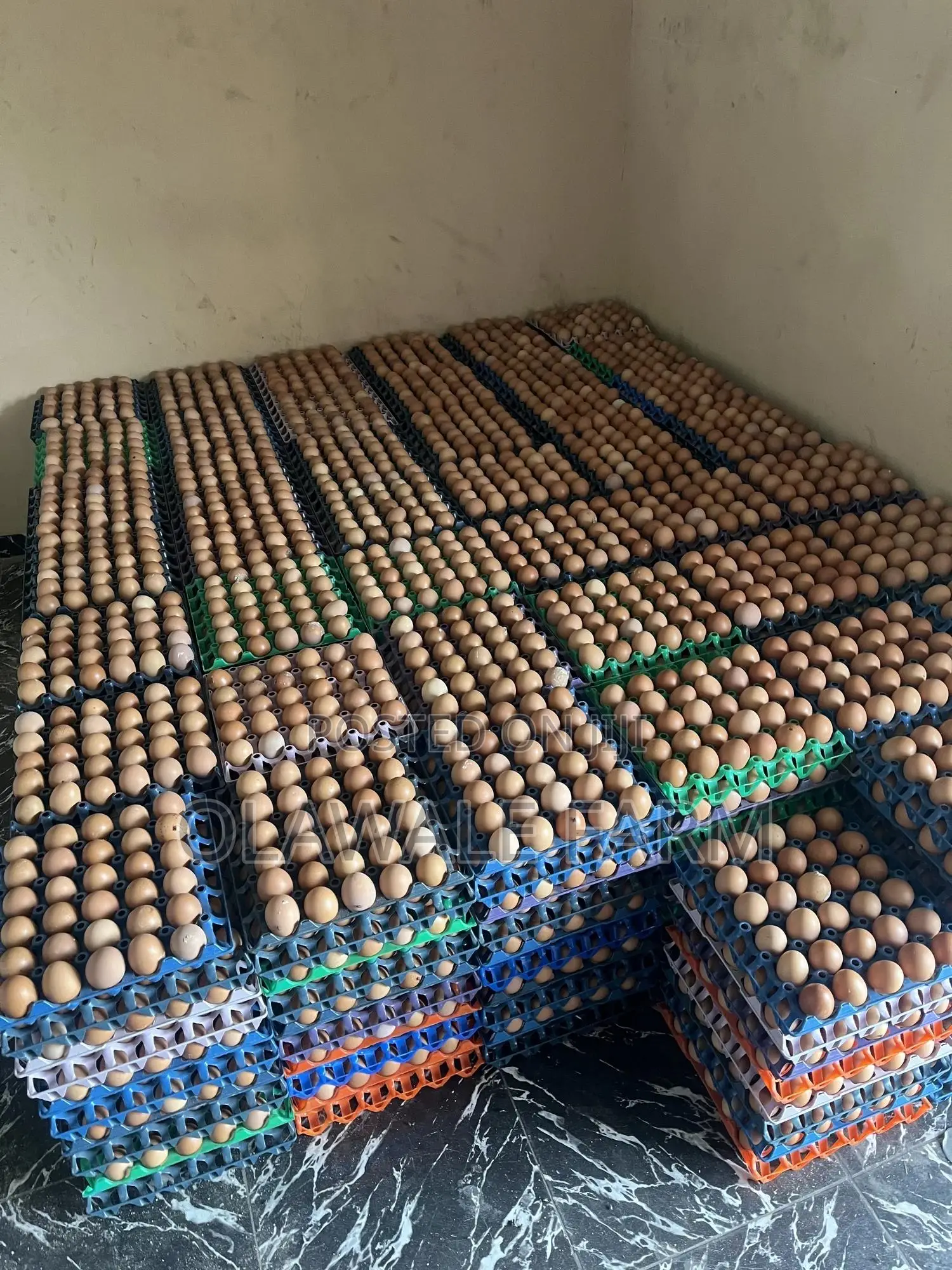 Fresh Eggs Direct From Farm