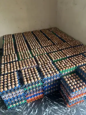 Fresh Eggs Direct From Farm