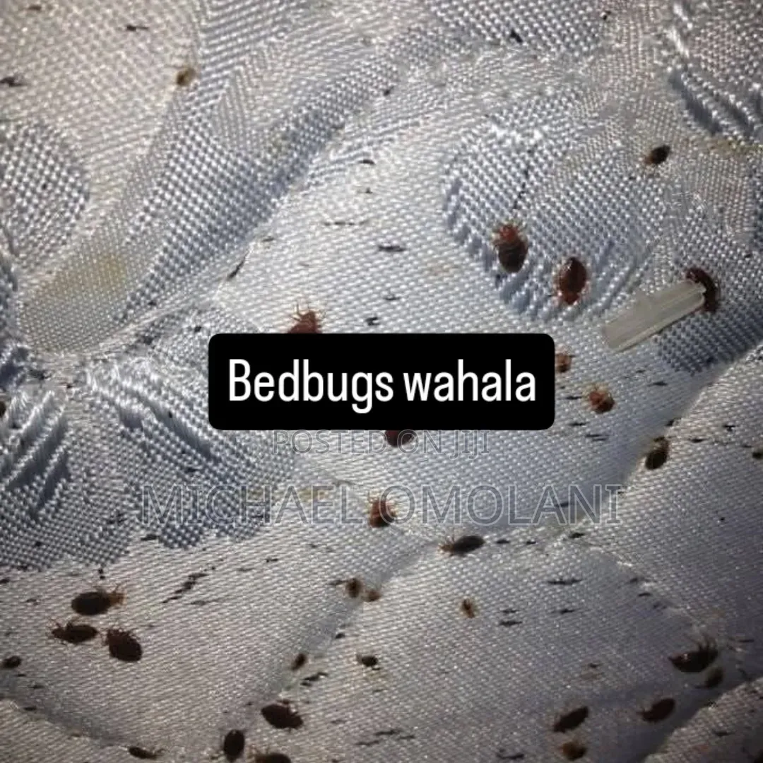 Eliminate Your Pest