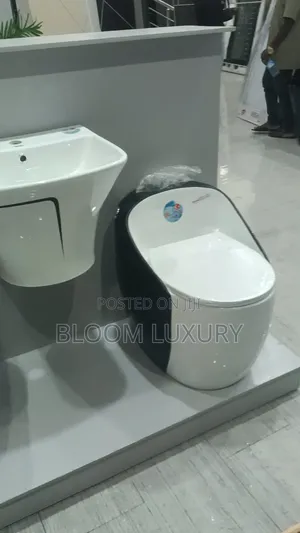 White+Black Water Closet 