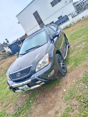 Lexus RX 2008 Gray