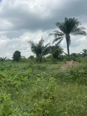 A Plot Forsale at Eleweran