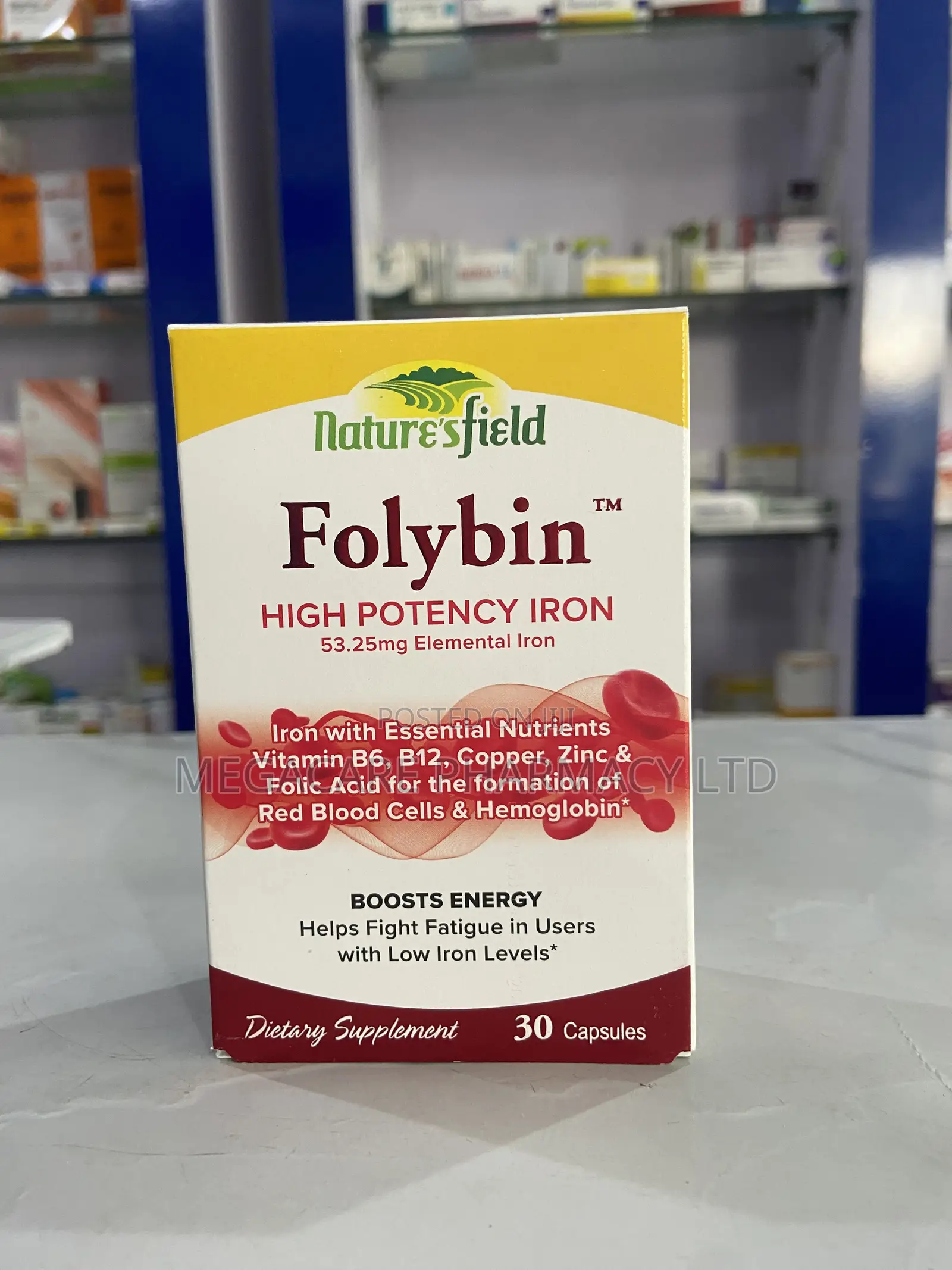 Naturesfield Folybin High Potency Iron
