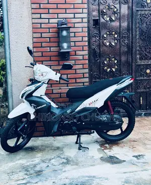 Daylong DL110-55 2025 White