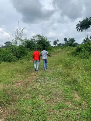 10 Plots Of Land At Abara Rivers State