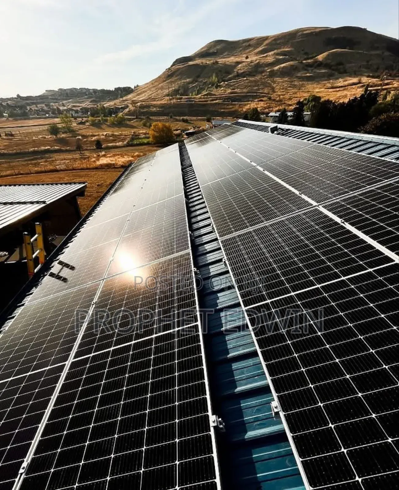 1 King Solar World