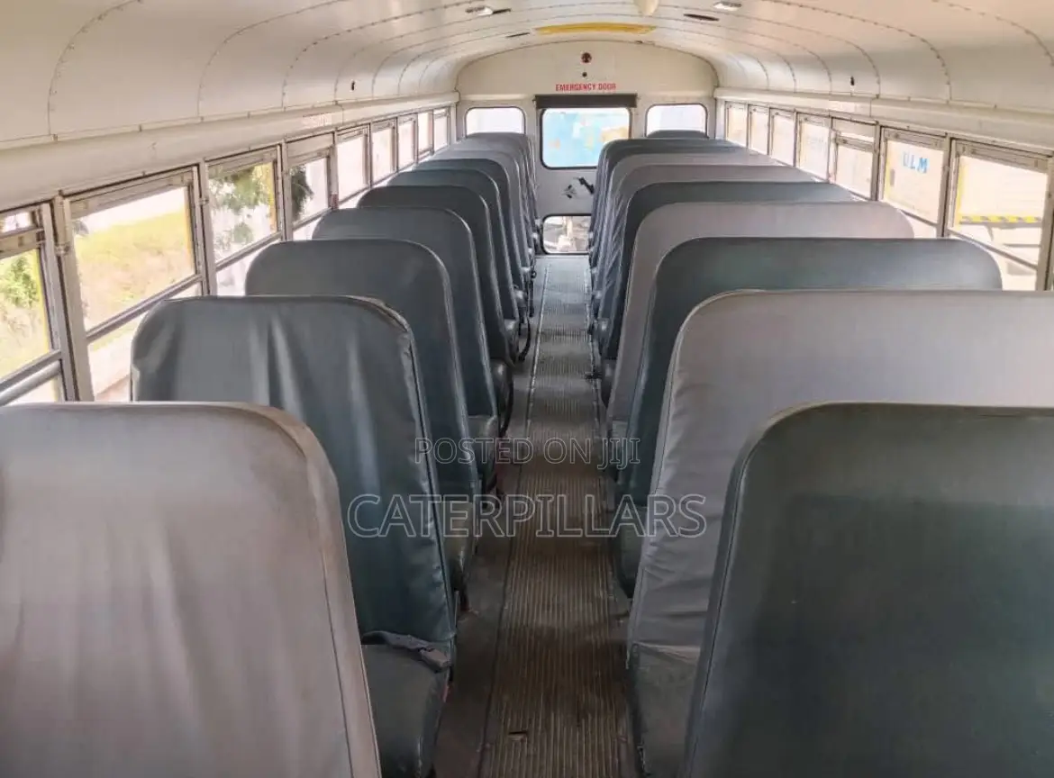 Bus 1967 Yellow
