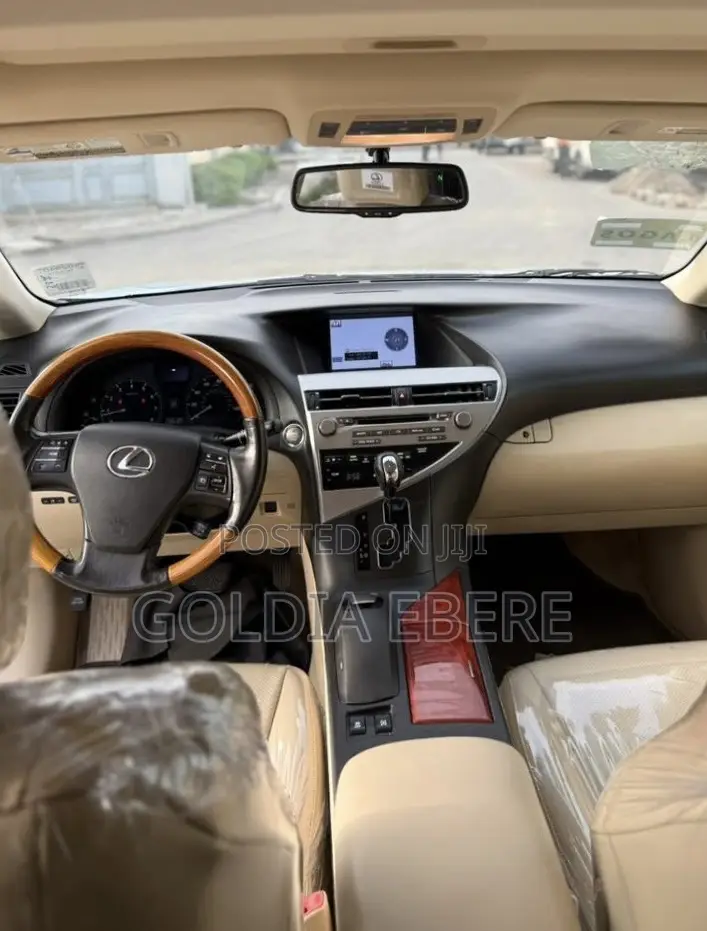 Lexus RX 2010 Blue