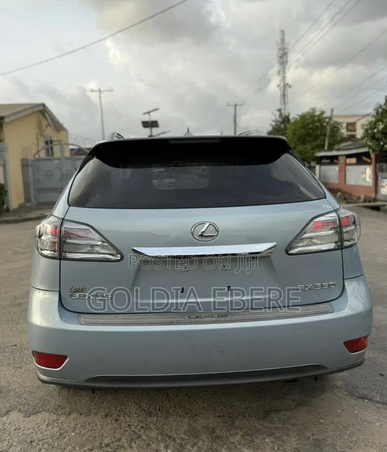 Lexus RX 2010 Blue