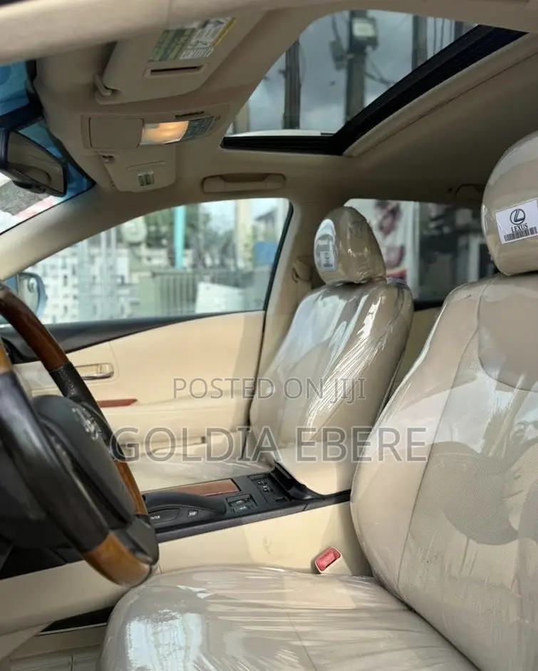 Lexus RX 2010 Blue