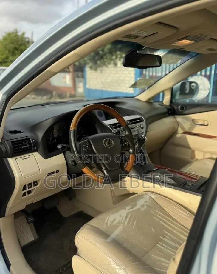Lexus RX 2010 Blue