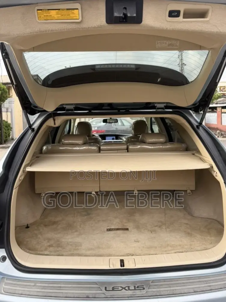 Lexus RX 2010 Blue