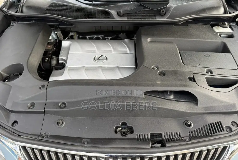 Lexus RX 2010 Blue