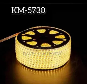 50m Vellmax Rope Light