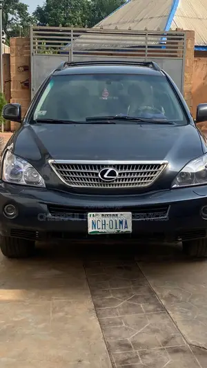 Lexus RX 2008 Gray